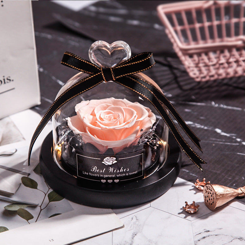 Everlasting flower glass cover single with lamp rose teacher's day gift for teacher creative gift cross-border manufacturer