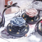 Everlasting flower glass cover single with lamp rose teacher's day gift for teacher creative gift cross-border manufacturer