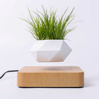 Magnetic levitation potted plant aerial creative ornaments suspended wood grain potted plant bonsai creative ornaments factory direct sales