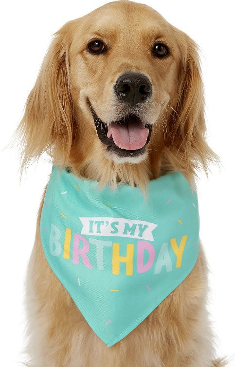 Pet Supplies Pet Plush Toys Dog Birthday Gift Toys Pet Birthday Cake Plush Toys