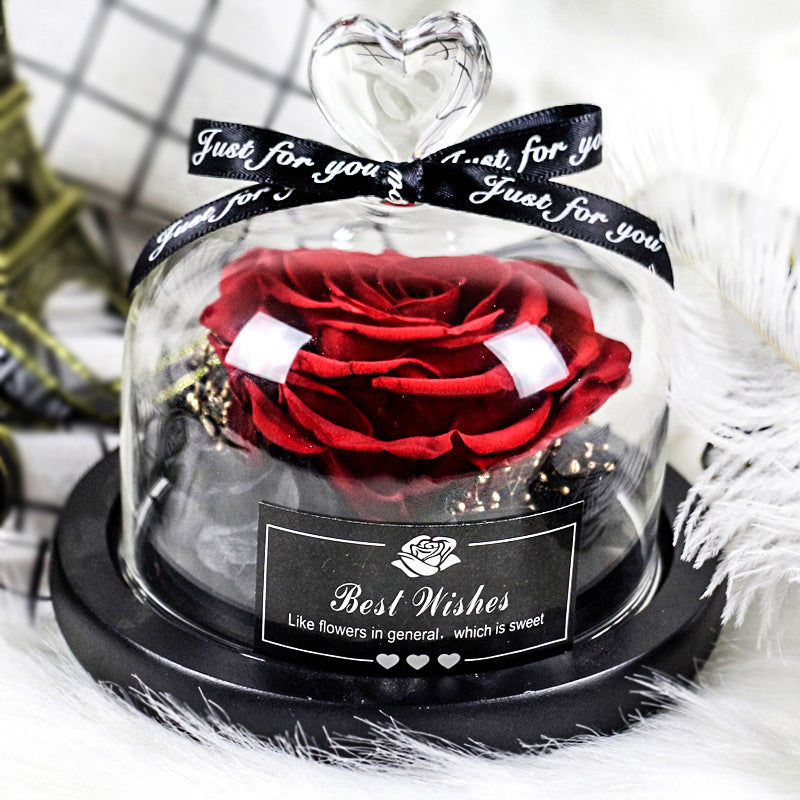 Everlasting flower glass cover single with lamp rose teacher's day gift for teacher creative gift cross-border manufacturer