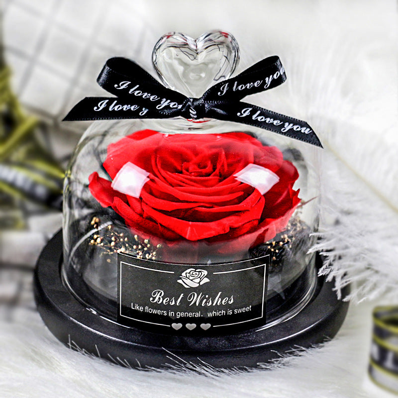 Everlasting flower glass cover single with lamp rose teacher's day gift for teacher creative gift cross-border manufacturer