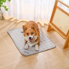 Amazon hot selling summer pet mat pet ice mat dog house dog mat pet ice silk mat cat cooling mat pet supplies