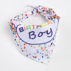Pet Supplies Pet Plush Toys Dog Birthday Gift Toys Pet Birthday Cake Plush Toys
